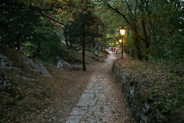 cozy dark green quiet alley with lanterns.