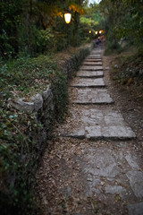 Obraz premium cozy dark green quiet alley with lanterns.