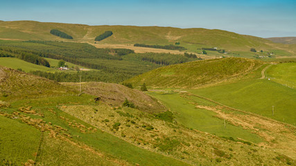 Landscape and some farms near Cwmystwyth, Ceredigion, Dyfed, Wales, UK