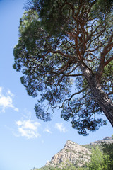 Balaklava trail