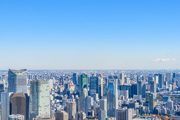 Fototapeta premium 冬の晴れた東京