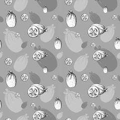 Feijoa vector icon, hand drawn sketch of tropical exotic green fruit, template for menu, diet infographics, sticker, flyer, print