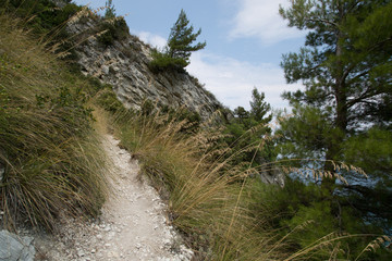 trail dalla Spiaggia delle Due Sorelle verso il Passo del Lupo