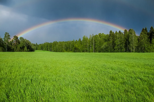 A rainbow over a green grass field