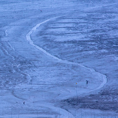 Marine culture in the shallows in Xiapu County, Fujian, China
