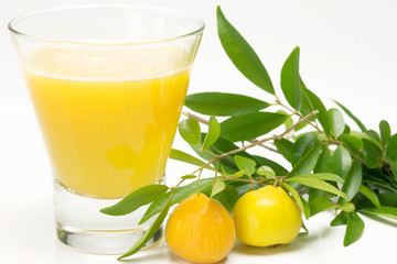Brazilian fruit called Uvaia juice - (Eugenia uvalha Cambess)