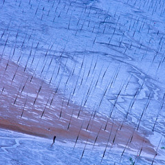 The scenery of the shallows in Xiapu County, Fujian, China