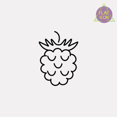 blackberry fruit line icon