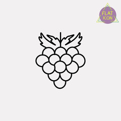 raspberry line icon