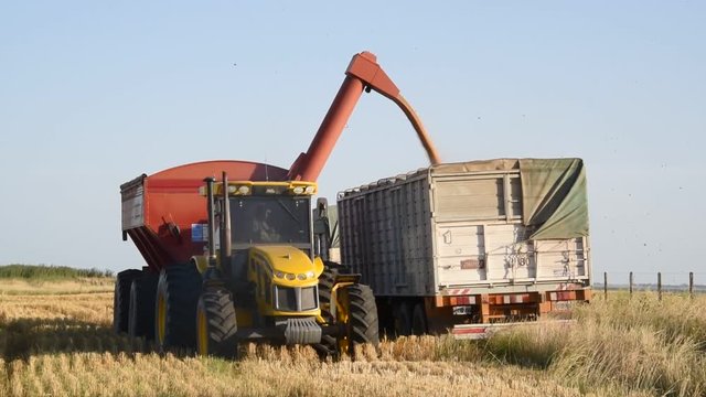 cami&oacute;n y tractor con trigo, cosecha