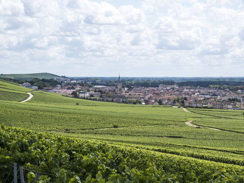 Ay, Champagne, France. Hills covered with vineyards in the wine region of Champagne, France. Moet & Chandon