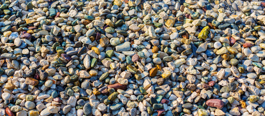 Colorful wet pebble beach background