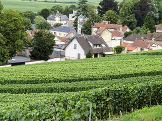 Fototapeta na wymiar Epernay, Champagne, France. Small village where Champagne producer companies are based.