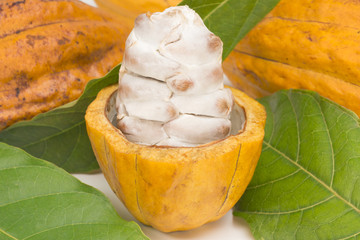 One open cocoa and leaves