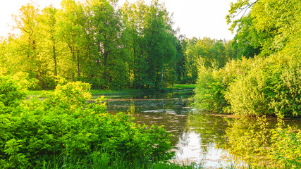 A landscape with greenery and sun.
