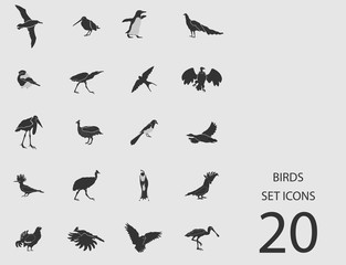 Birds set of flat icons. Vector illustration