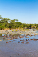 Gippo pool in Serengeti, Tanzania