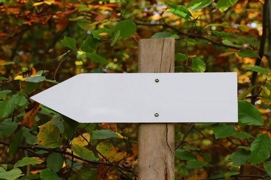 leeres Hinweisschild am Waldweg