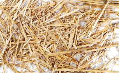 Straw pile isolated on white background, top view