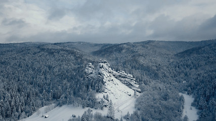 Obraz premium Winter snow trees. aerial view fly over. tustan