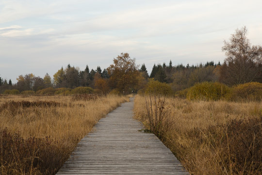Beim wandern im Hohen Venn kann man hervorragend die Seele baumelen lassen und die wunderbare Natur bestaunen