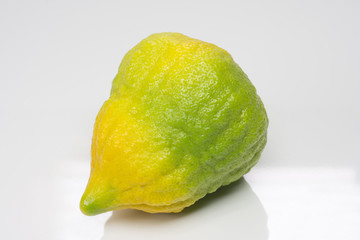 One Citron in white background 