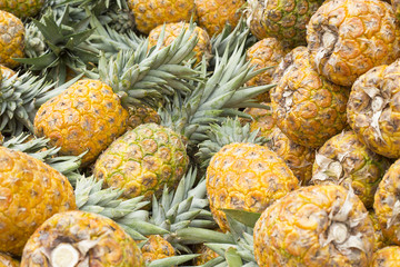 Pineapples in the market - Ananas comosus