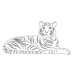 Fototapeta na wymiar isolated sketch of a tiger lies