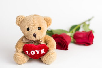 Teddy bear and roses for valentines day