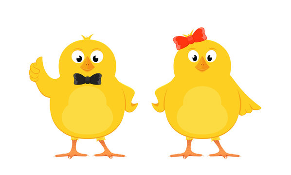 Two yellow chicks