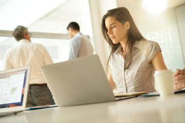 Businesswoman in office working on laptop computer, team in background
