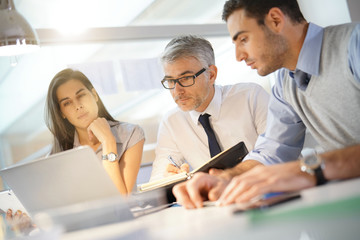 Fototapeta premium Business team working together on financial project