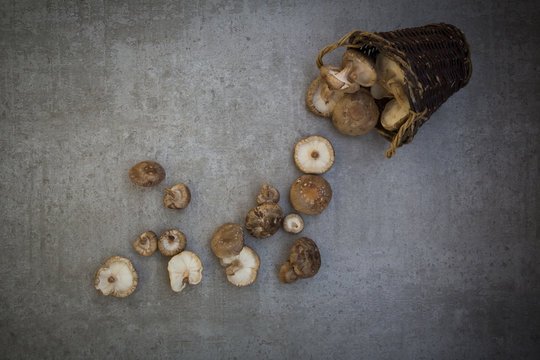 Organic shitake mushrooms in basket and on stone