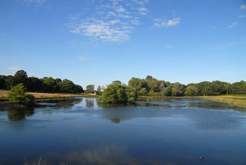 Pen Ponds in Richmond Park, Richmond, United Kingdom