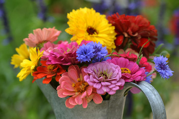 Rainbow Flowers