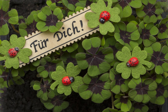 F&Uuml;R DICH Schrift auf Schildchen in Gl&uuml;cksklee und Marienk&auml;fern