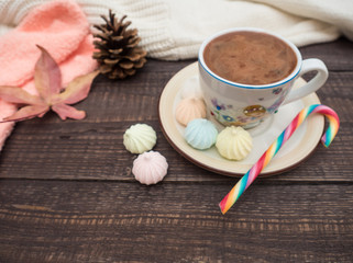 Cocoa with foam, sweet candy and colored bisse on a wooden table