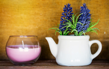 Plant and decorative candles with wood in the background. Beauty Spa Health and Wellness concept.