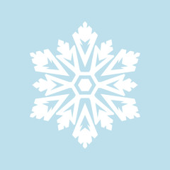 Snowflake winter Icon new year