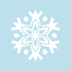 Snowflake winter Icon new year