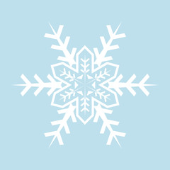 Snowflake winter Icon new year