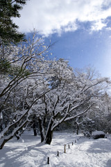 雪の金沢　兼六園