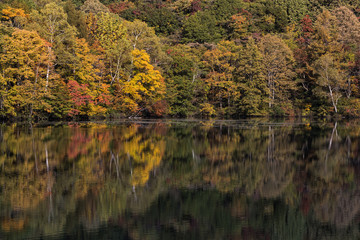 Kagami pond at Nagano prefecture in autumn