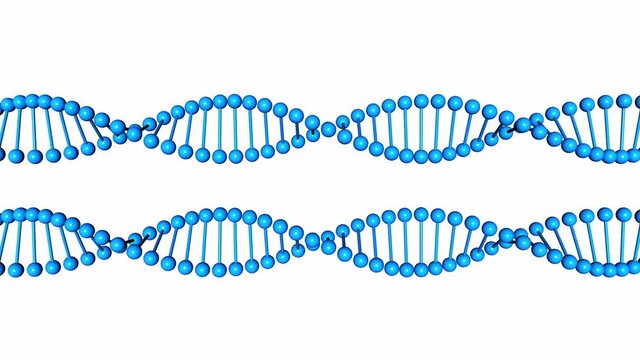 Blue DNA molecule rotate isolated on white background