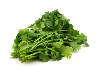 green leaves of parsley isolated on white background