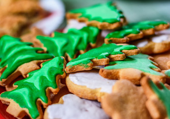 Christmas ginger cookie