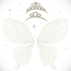 Magic fairy wings with two tiara bundled isolated on a white background