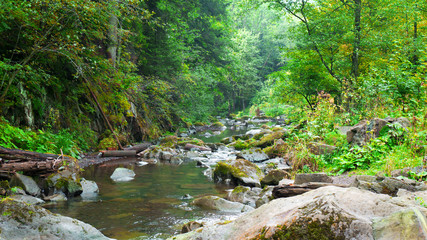 Mountain river landscape. Silky smooth stream of clear water through small cascades and stones