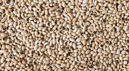 white bean texture closeup