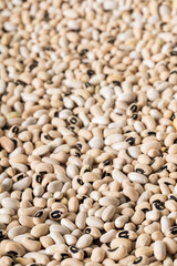 white bean texture closeup